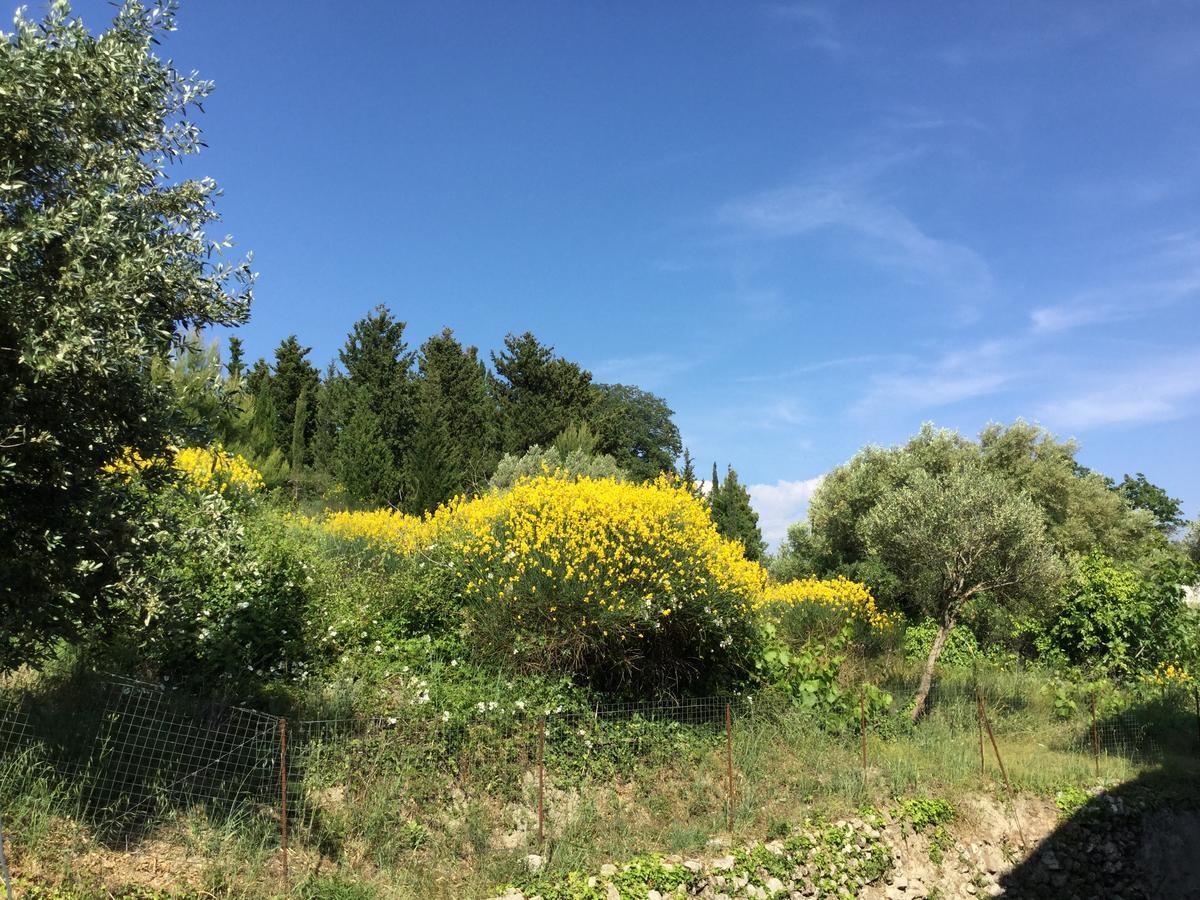 Filoxenia Kontogiannis Apartment Lazarata ภายนอก รูปภาพ