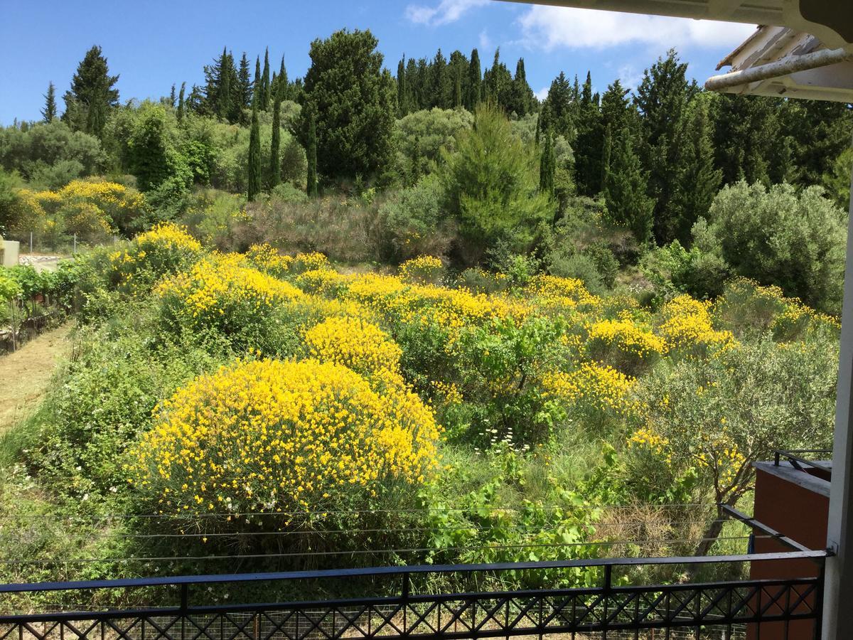 Filoxenia Kontogiannis Apartment Lazarata ภายนอก รูปภาพ